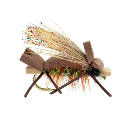 Amy's Ant - Olive