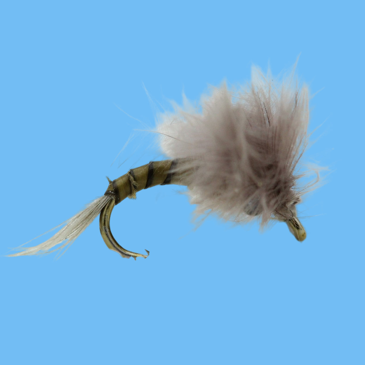 Bat Wing  Emerger CDC - BWO