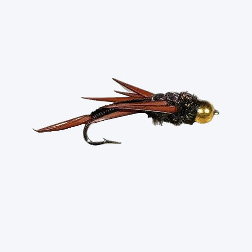 Beefus BH Wired Stone tungsten bead stonefly nymph fly, size #10, 