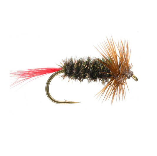 Brown Hackle Peacock nymph fly with peacock herl body and soft brown hackle
