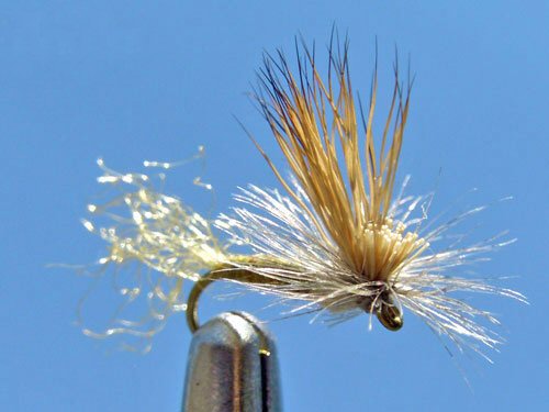 EC Caddis - Olive