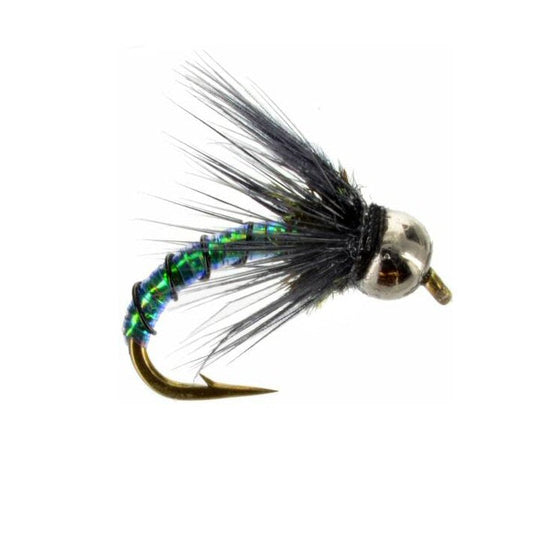 Caddis Borealis caddis wet fly and emerging pattern sizes 14 and 18 for Colorado trout fishing on the Roaring Fork and Frying Pan rivers