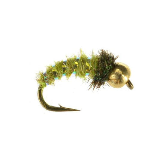 Bead Head Caddis Larva olive nymph fly pattern sizes 14 and 18 for Colorado trout fishing on the Roaring Fork and Frying Pan rivers