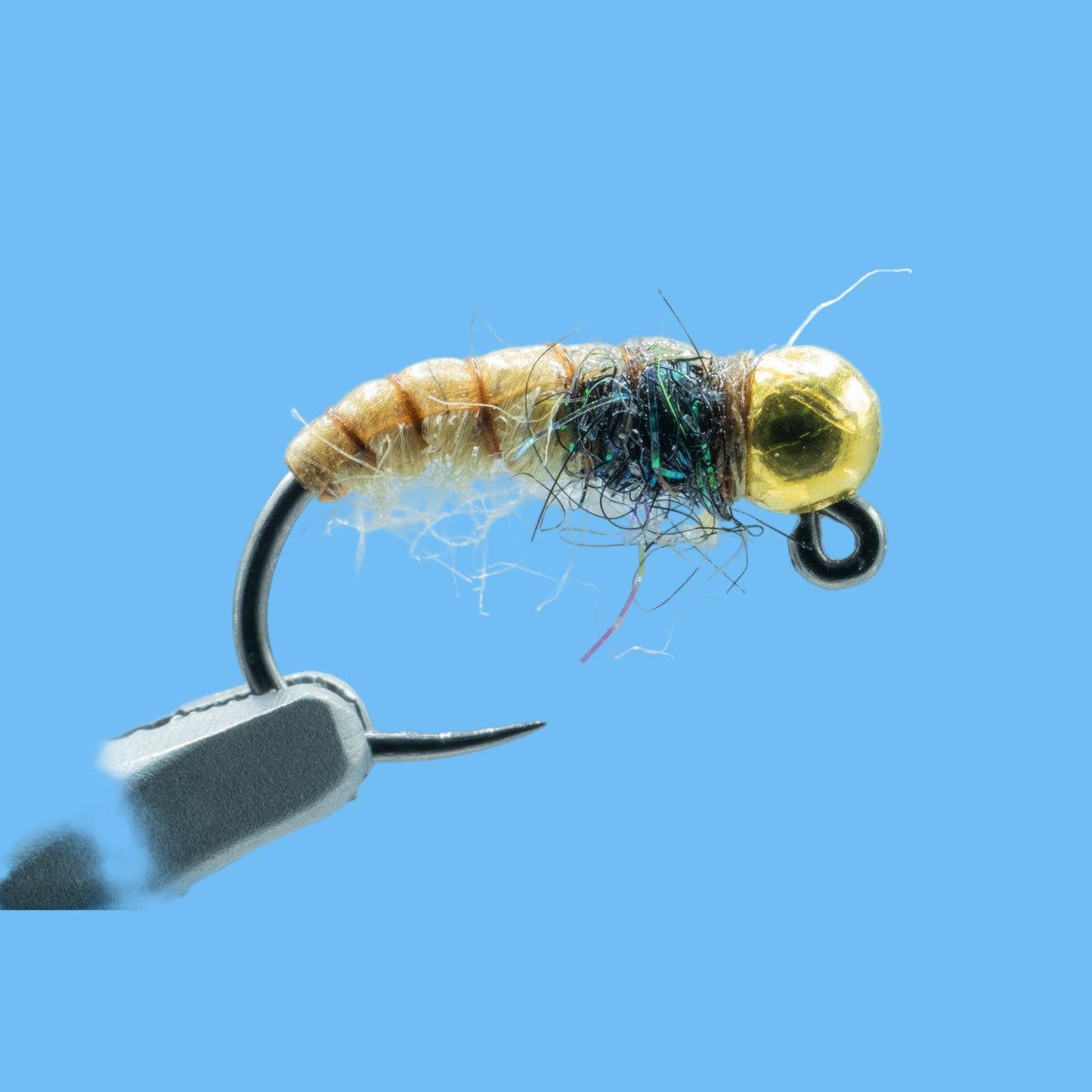 Caddis Pupa Jig