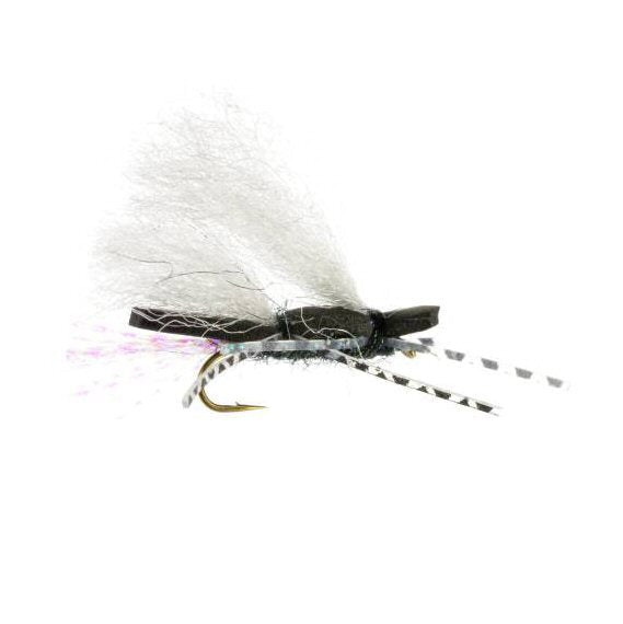 Chubby Chernobyl black foam terrestrial attractor dry fly for trout fishing in low-light and overcast conditions on Colorado rivers