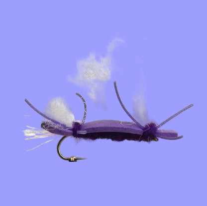 Chubby Chernobyl - Purple and Black