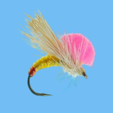 Clown Shoe Yellow Sally