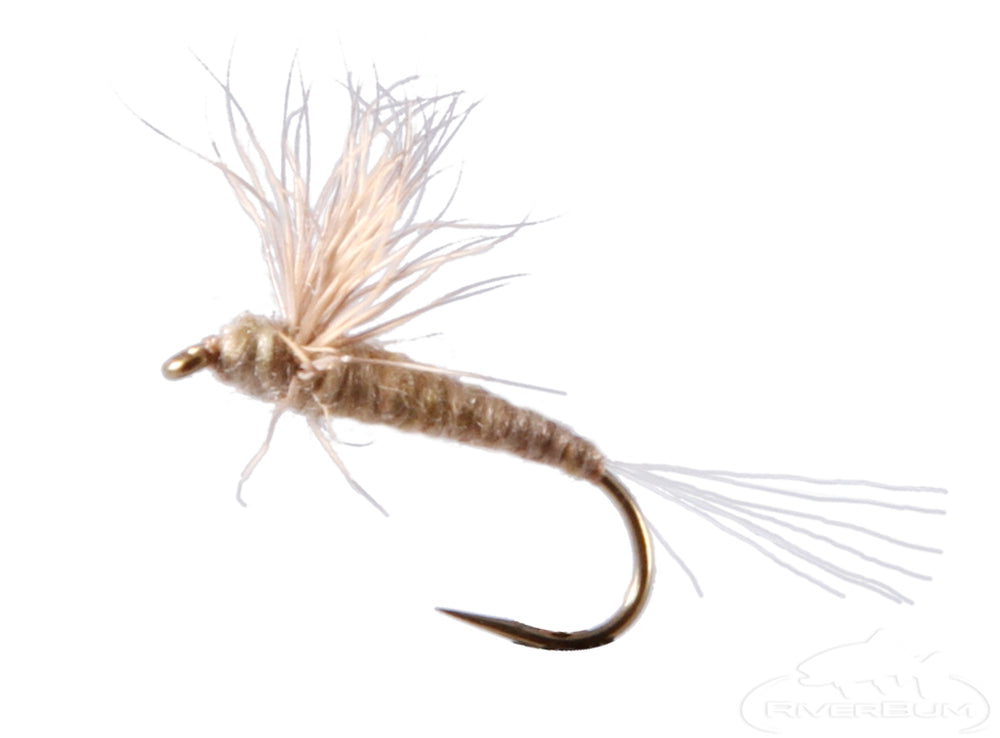 Comparadun - Callibaetis