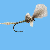 Cripple - Callibaetis