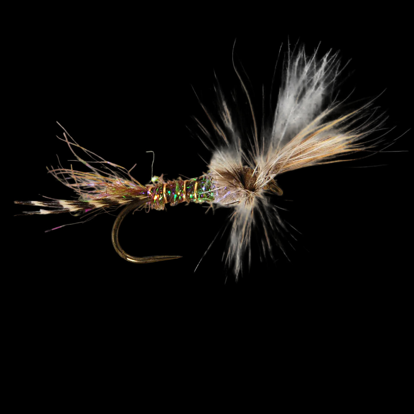 Cripple - Callibaetis