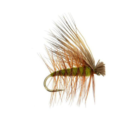 Elk Hair Caddis olive dry fly pattern sizes 10, 14 and 18 for caddis hatch fishing on the Roaring Fork and Frying Pan rivers in Colorado