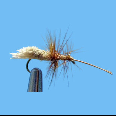 Goddard Caddis