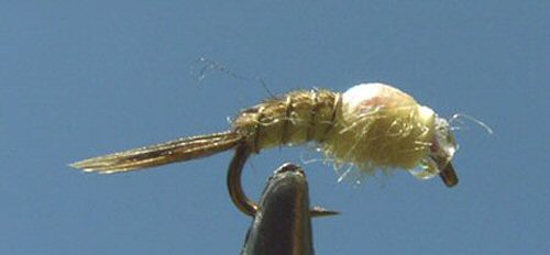 Emerger - PMD
