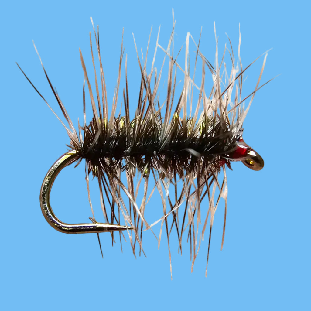 Griffith's Gnat