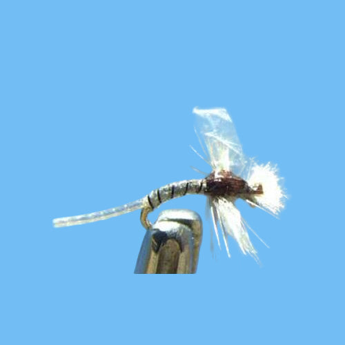 Hatching Midge - Grey – Glenwood Springs Outdoors