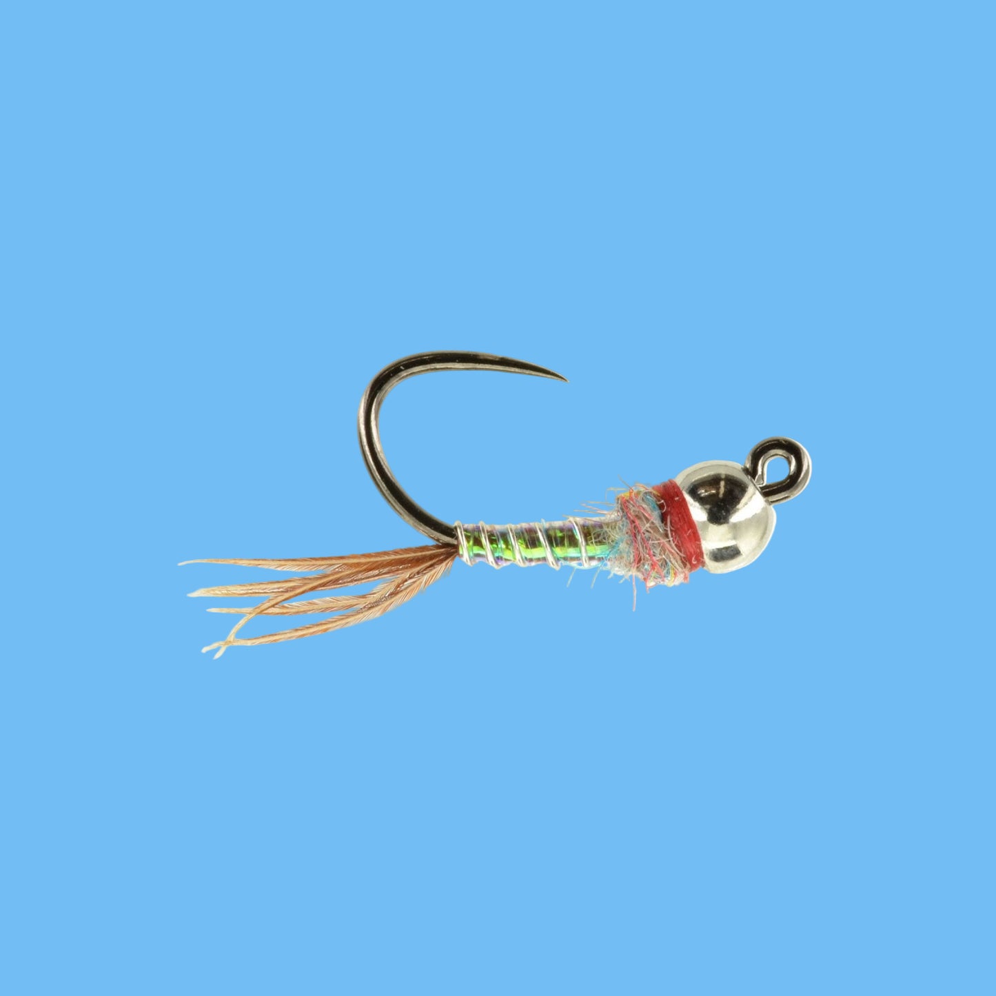 Jiggy Rainbow Warrior STB