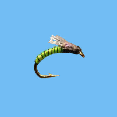Juju Bee Midge - Chartreuse