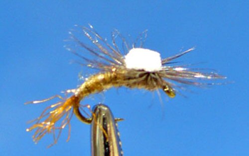 Parachute Emerger Befus