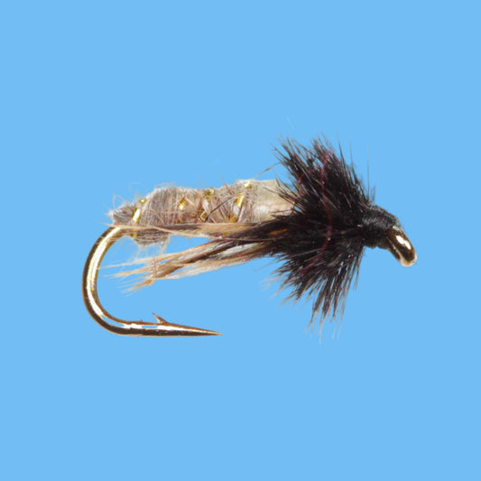 Peeking Caddis - Cream