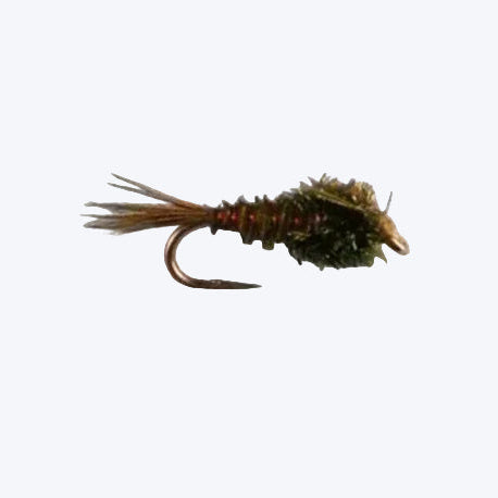 Pheasant and Peacock attractor nymph fly, sizes #12–#16, with pheasant tail fibers and iridescent peacock herl body — trout nymph for the Roaring Fork, Frying Pan, and Colorado River
