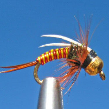 BH Prince - Red/Yellow