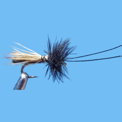 Slickwater Caddis - Black