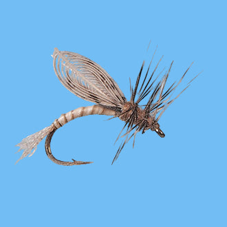 Callibaetis Emerger