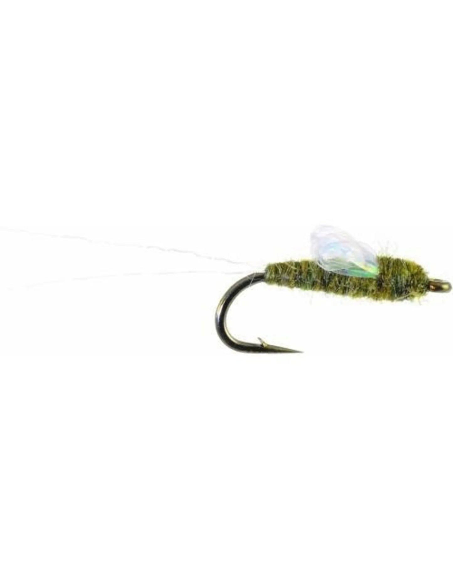 Sparkle Wing RS2 - Olive
