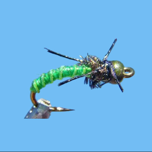 Sparkle Caddis Larva