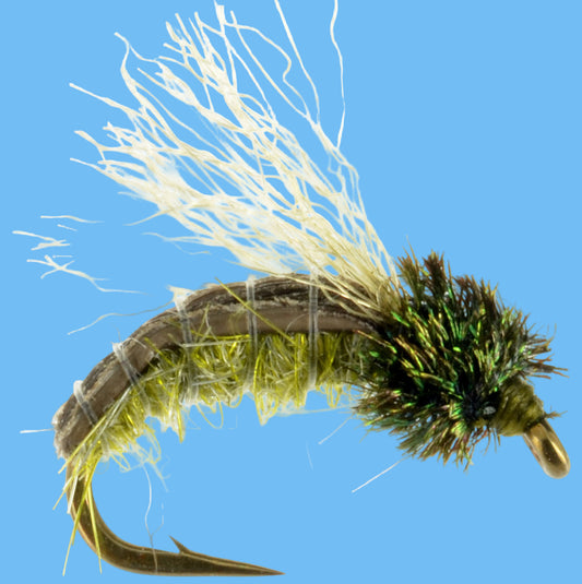 Z Wing Caddis - Olive